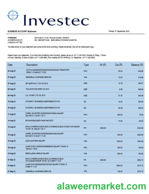 Investec Bank organization statement Word and PDF template